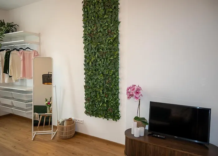 Apartmany Mis