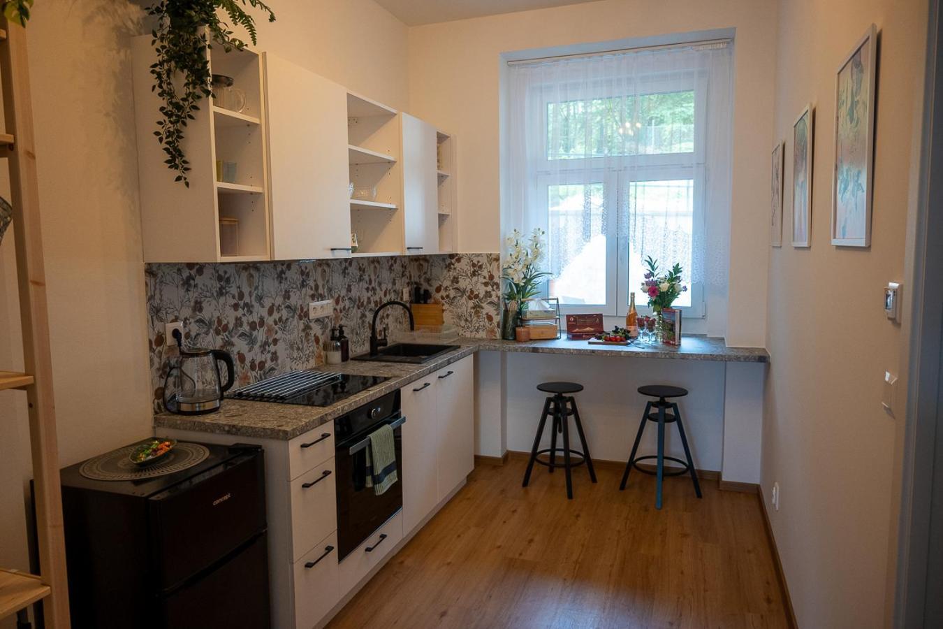 Apartment Mis Usti nad Labem